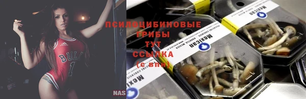 кристаллы Абинск