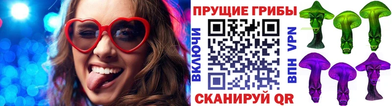 Галлюциногенные грибы GOLDEN TEACHER  Бийск 