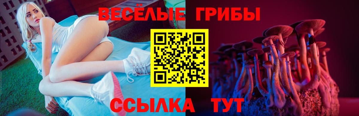 Псилоцибиновые грибы Cubensis  как найти   Бийск  Вход с VPN  Псилоцибиновые грибы мицелий 